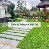 Dịch Vụ Trồng Cỏ Và Cách Chọn Thảm Cỏ Sân Vườn Biệt Thự