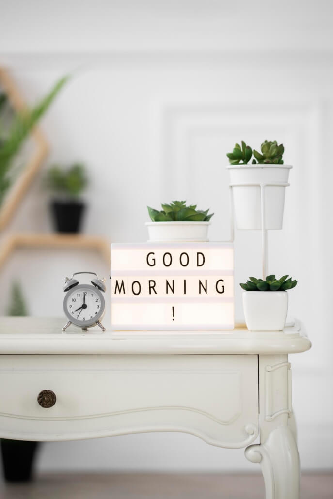 Chào ngày mới với sen đá