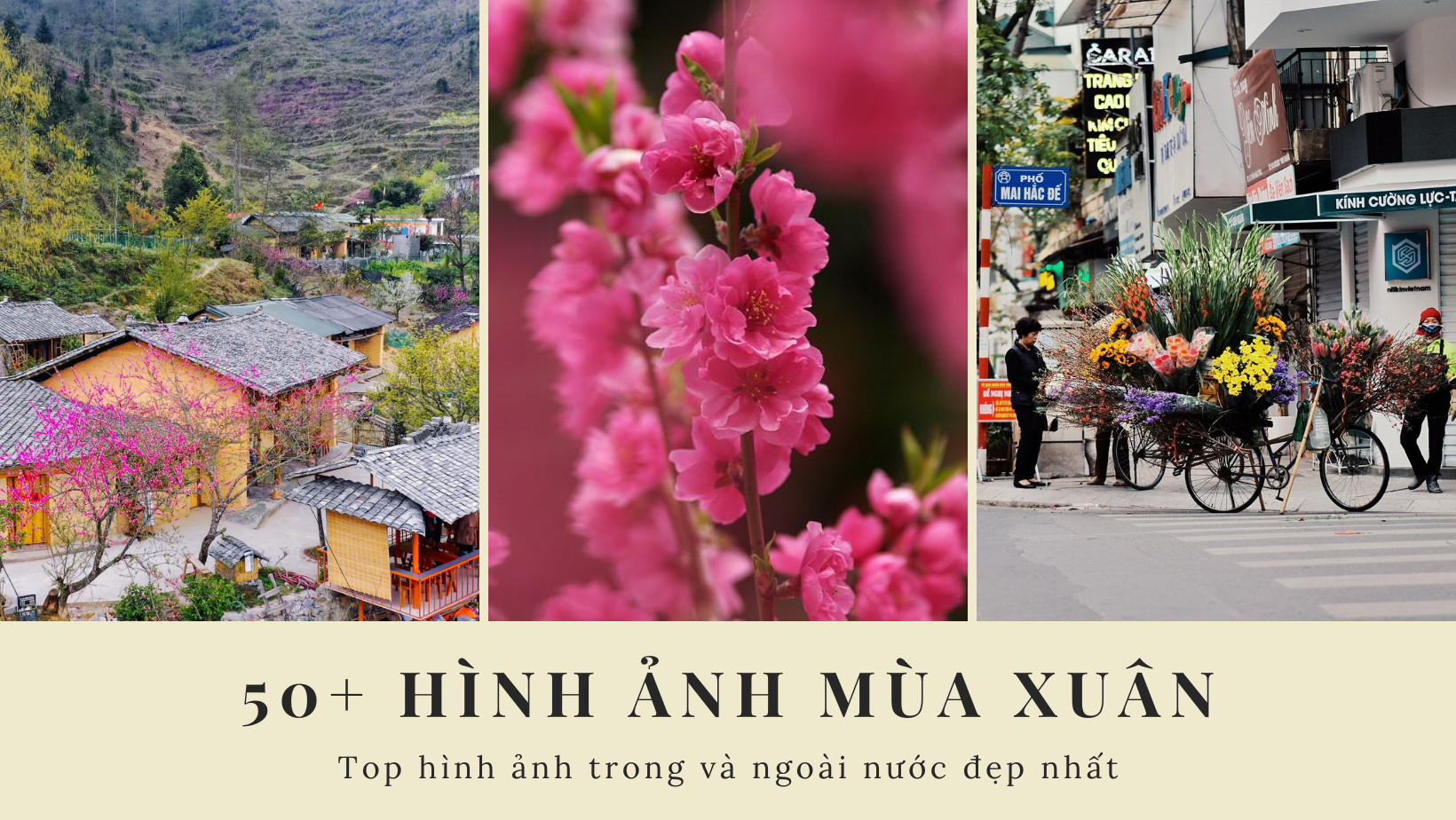 Hình ảnh mùa xuân thiên nhiên