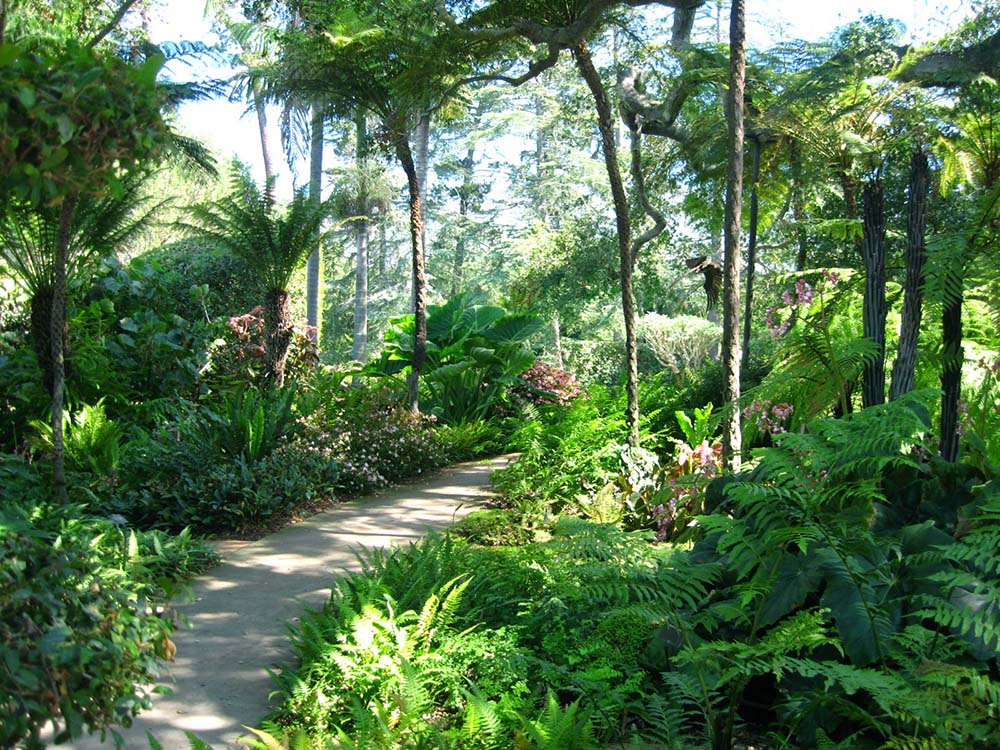 Sân vườn nhiệt đới